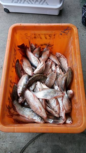 DSC_0087.JPG DSC_0087.JPG