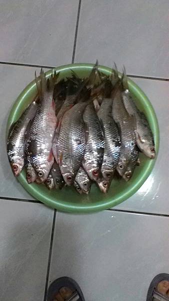 1489384472309.jpg 1489384472309.jpg