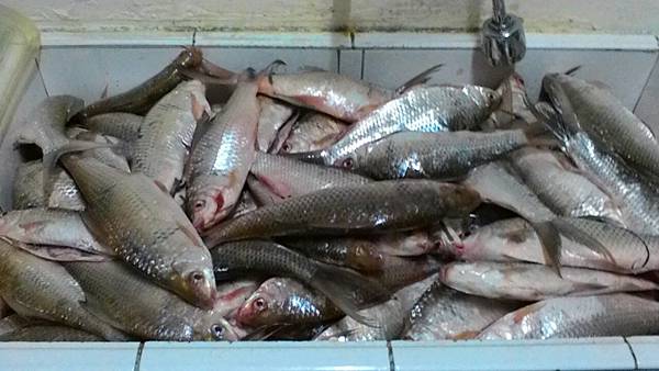 1489384493813.jpg 1489384493813.jpg