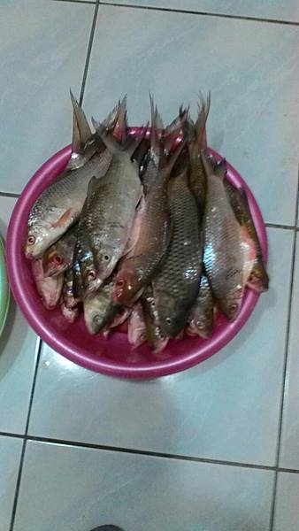 1489384479962.jpg 1489384479962.jpg