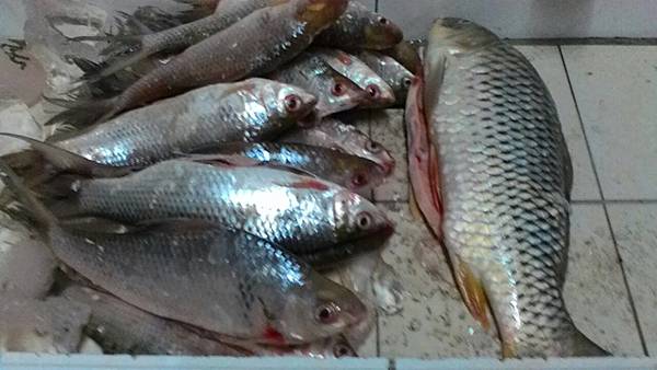 1489384464039.jpg 1489384464039.jpg