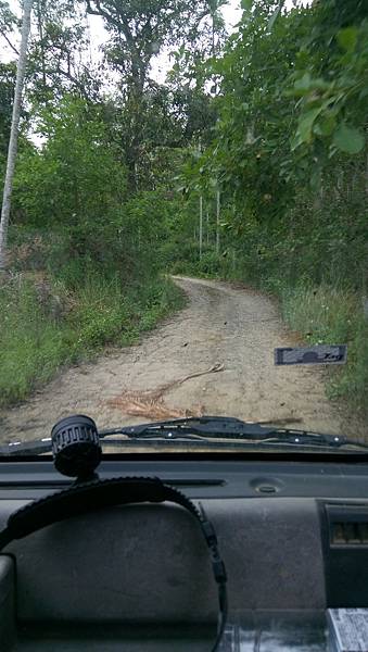 DSC_0031.JPG DSC_0031.JPG