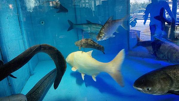 DSC_0030.JPG DSC_0030.JPG