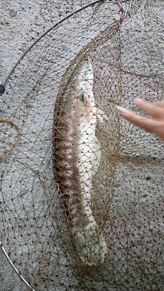 DSC_0051.JPG DSC_0051.JPG