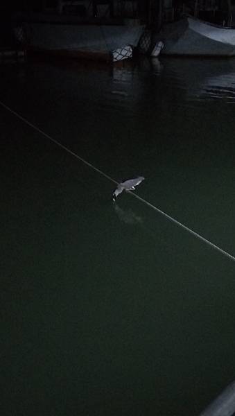 DSC_0057.JPG DSC_0057.JPG