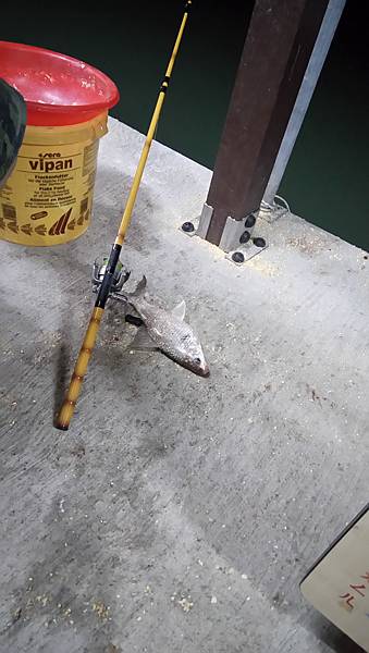 DSC_0055.JPG DSC_0055.JPG