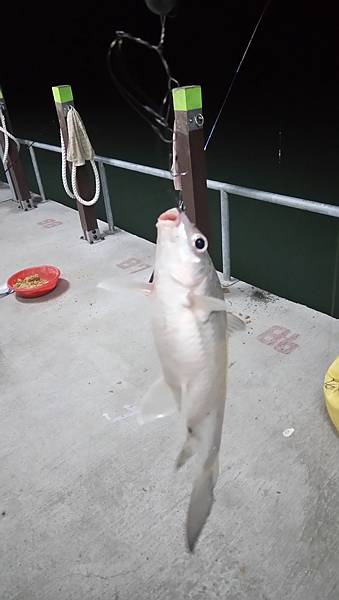 DSC_0069.JPG DSC_0069.JPG