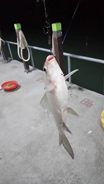 DSC_0070.JPG DSC_0070.JPG