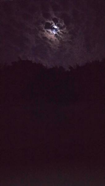 DSC_0071.JPG DSC_0071.JPG