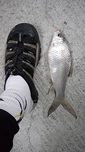 DSC_0076.JPG DSC_0076.JPG