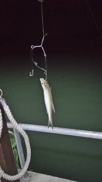 DSC_0075.JPG DSC_0075.JPG