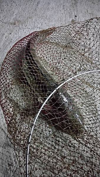 DSC_0078.JPG DSC_0078.JPG