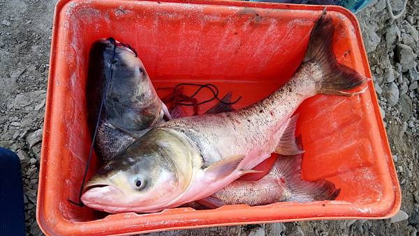 DSC_0084.JPG DSC_0084.JPG