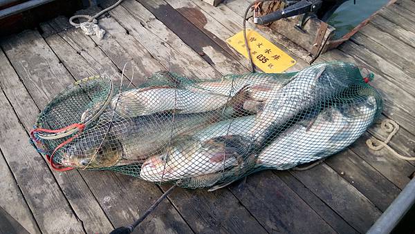 DSC_0083.JPG DSC_0083.JPG