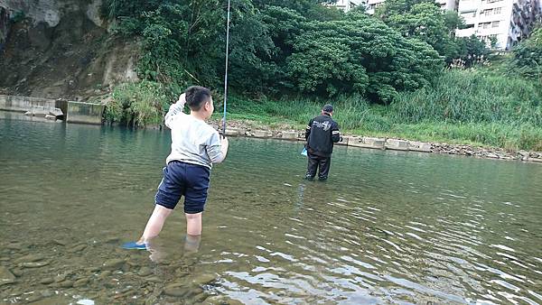 1512903302918.jpg 1512903302918.jpg