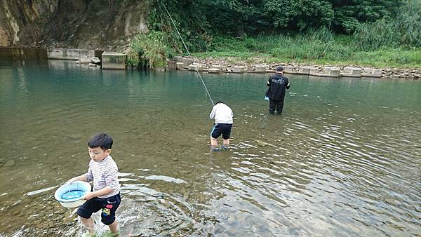 1512903298508.jpg 1512903298508.jpg