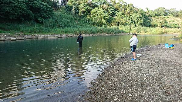 1512903311472.jpg 1512903311472.jpg