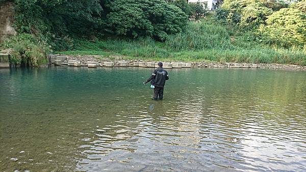 1512903320479.jpg 1512903320479.jpg