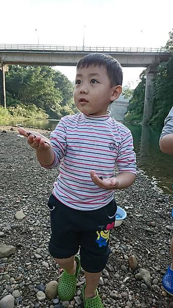 1512903338496.jpg 1512903338496.jpg