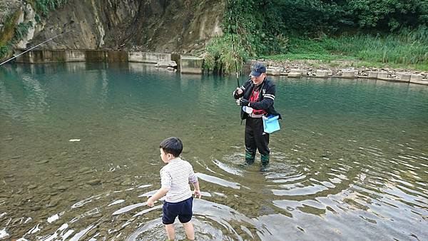 1512903352279.jpg 1512903352279.jpg