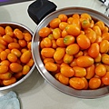 20210119_145104.jpg