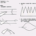 玫瑰 捲玫瑰-1.jpg