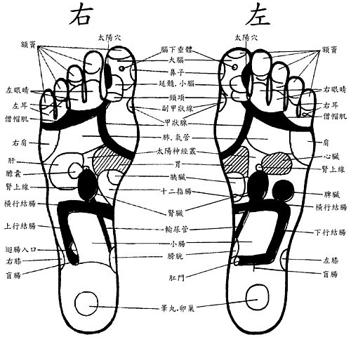 腳底病理反射區部位圖-3.jpg