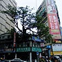 黑板樹(屋包樹) 1040209_1 林森南路.JPG