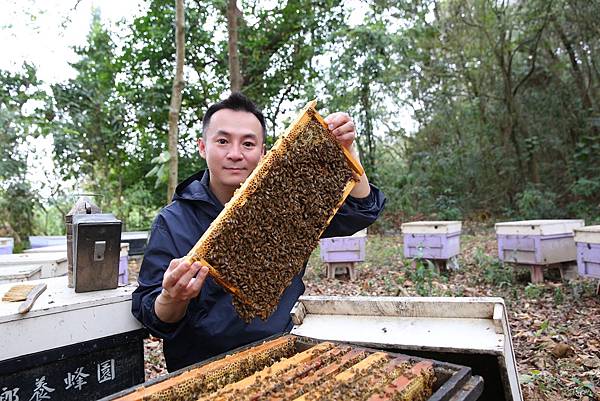 蜂 台灣 照片九.jpg