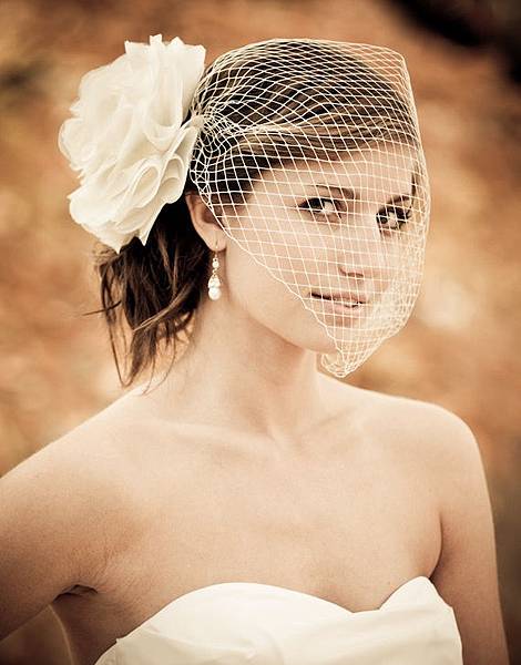 birdcage-bridal-veil1