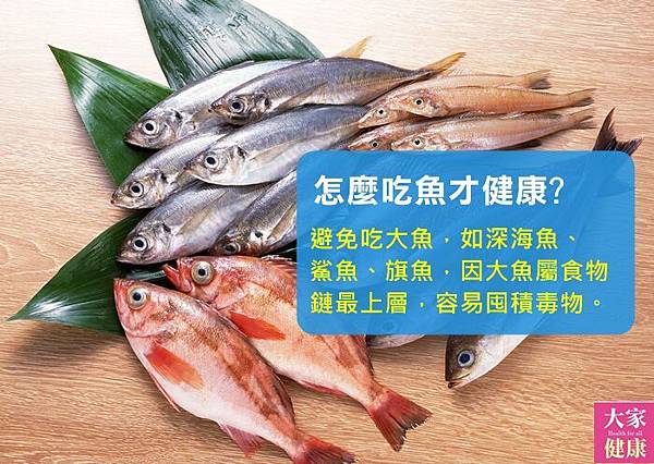 魚.jpg