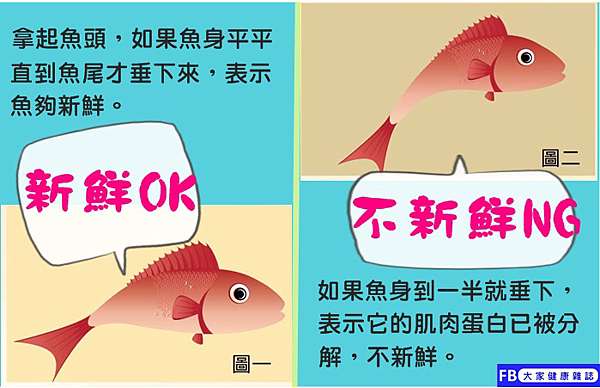 如何買魚 魚鰓紅 代表新鮮 大家健康部落格 痞客邦 如何買魚 魚鰓紅 代表新鮮 大家健康部落格 痞客邦