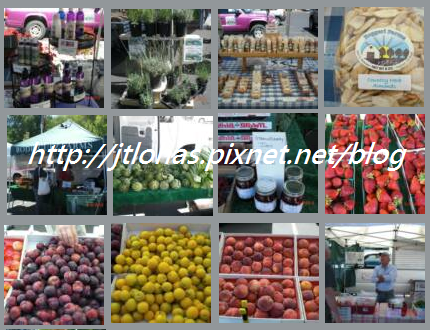 The Harvest from Farmers Market-3.png The Harvest from Farmers Market-3.png
