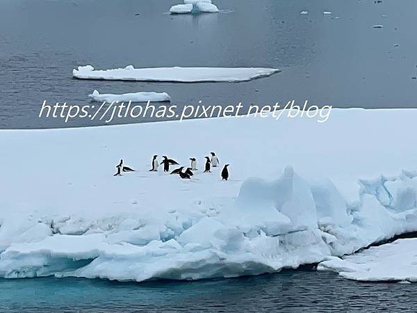 Antarctica-24.JPG