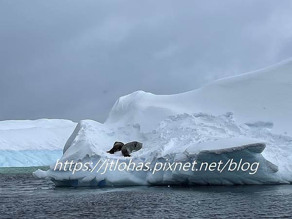 Antarctica-30.JPG