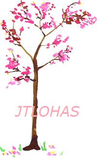 LOHAS.jpg LOHAS.jpg