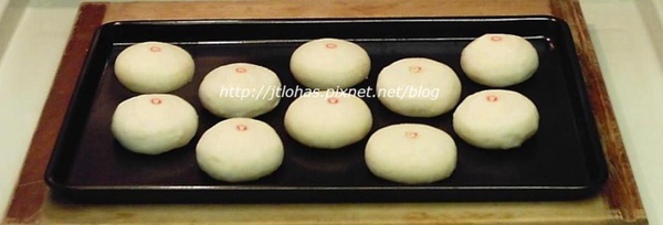 Moon Cake 2010-2.JPG