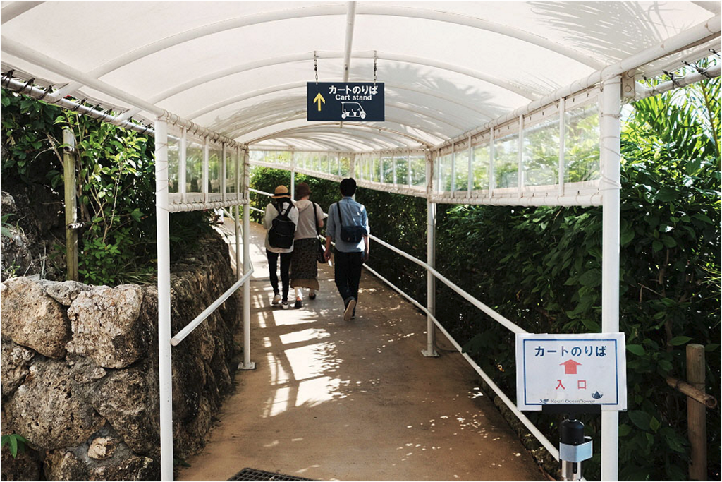 古宇利島_06.png 古宇利島_06.png