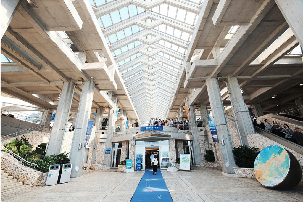 沖縄美ら海水族館_11.png 沖縄美ら海水族館_11.png