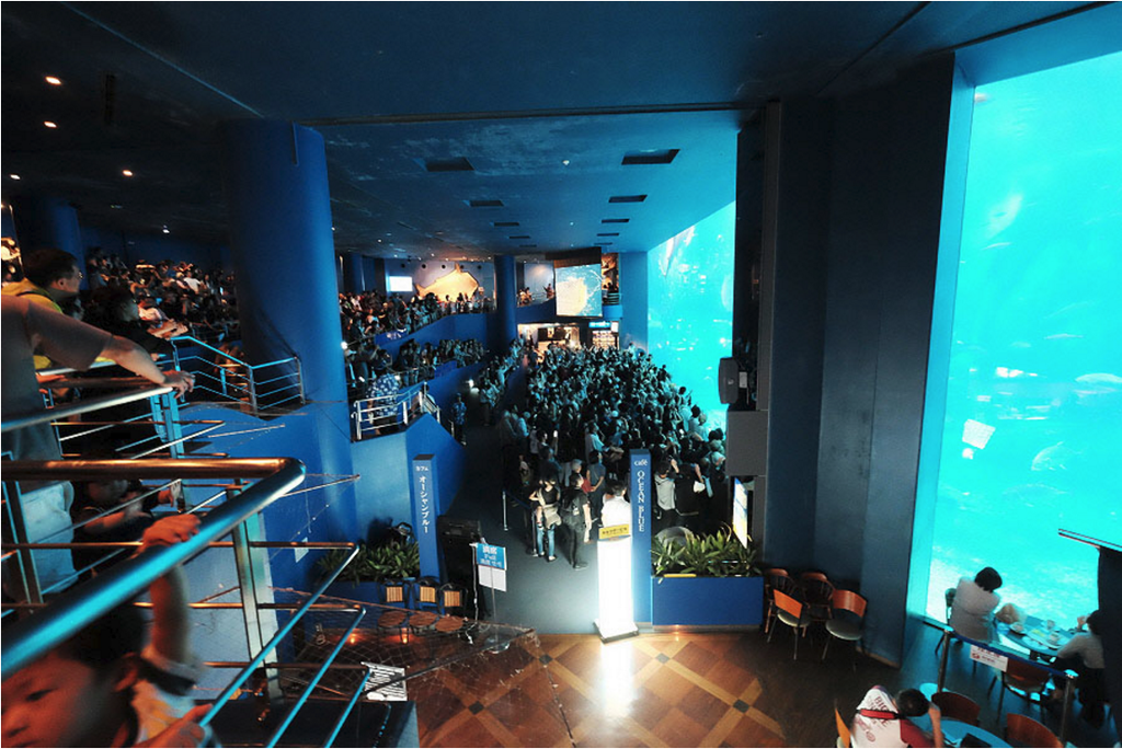 沖縄美ら海水族館_16.png 沖縄美ら海水族館_16.png