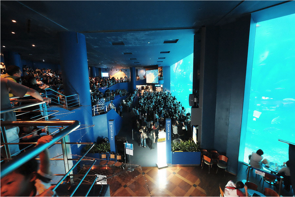 沖縄美ら海水族館_16.png