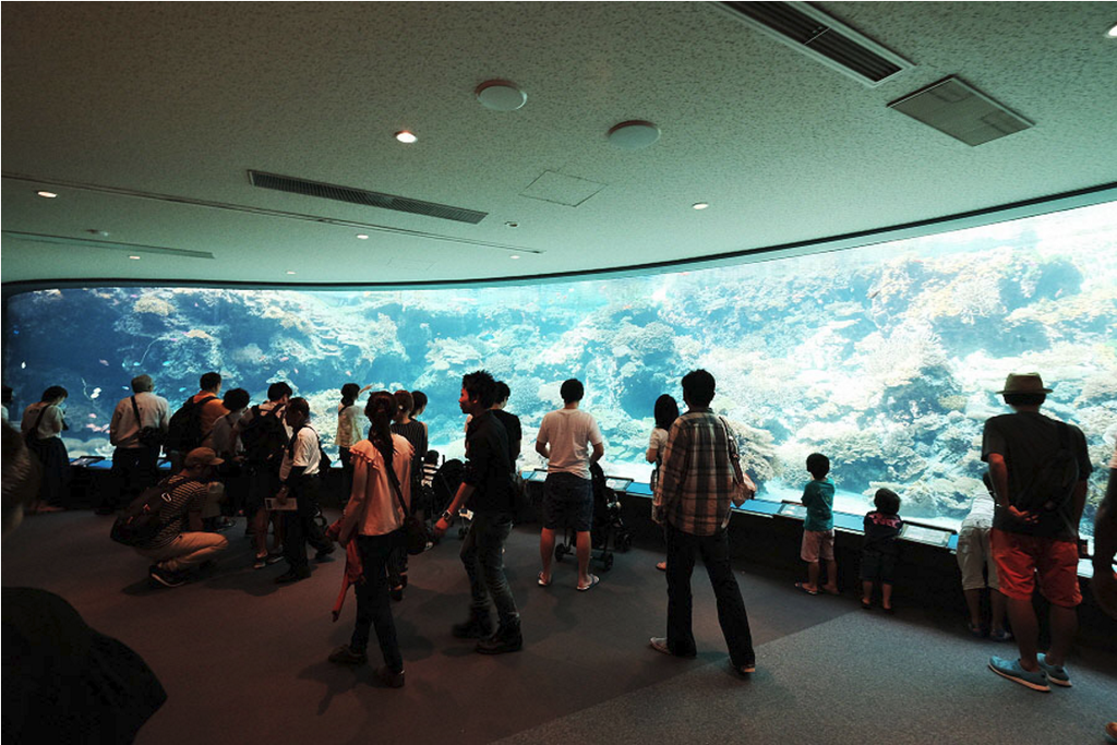 沖縄美ら海水族館_15.png 沖縄美ら海水族館_15.png