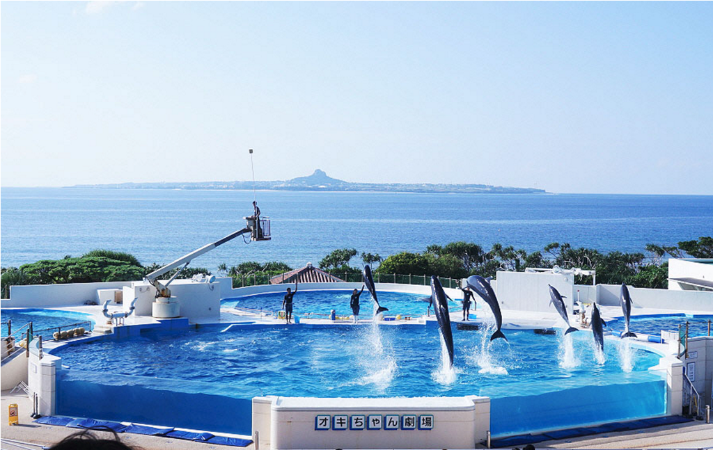 沖縄美ら海水族館_19.png 沖縄美ら海水族館_19.png