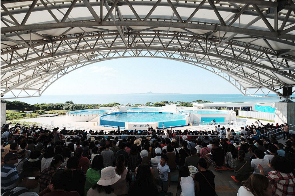 沖縄美ら海水族館_18.png 沖縄美ら海水族館_18.png
