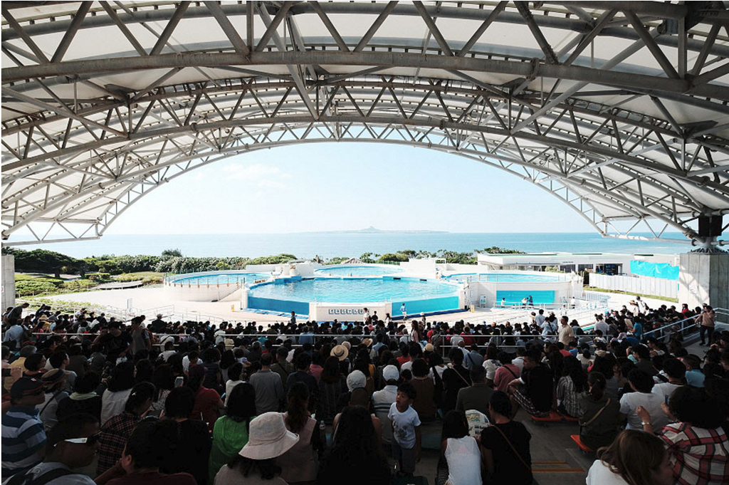 沖縄美ら海水族館_18.png