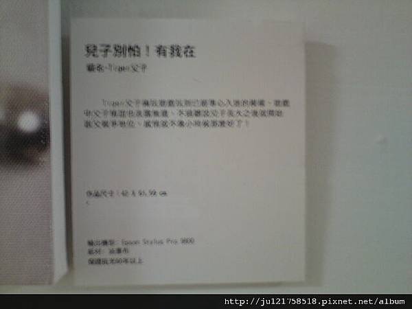 王傳賢貓咪攝影展