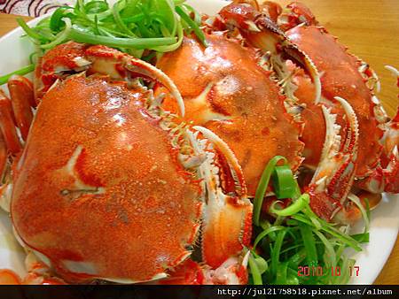 2010哈家秋蟹大餐 2010哈家秋蟹大餐