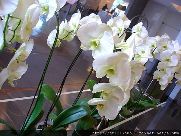 DSC07665 DSC07665