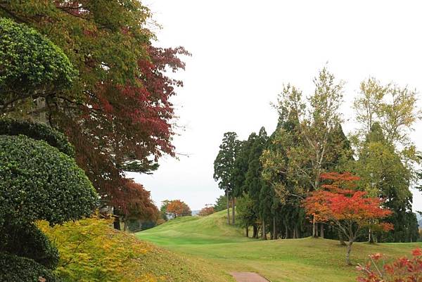 20191019~23 日本東北賞楓、採果、涵館５日3540