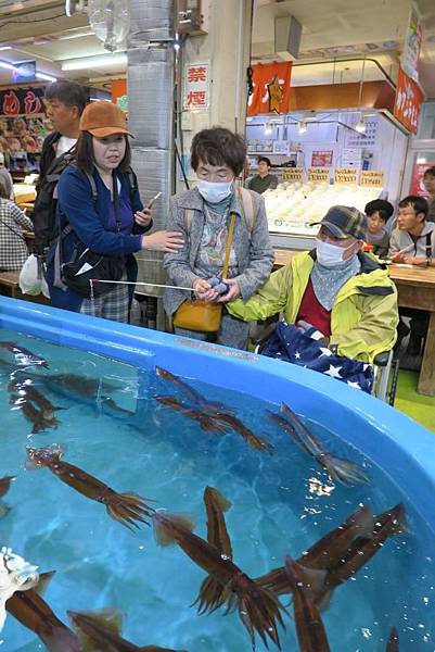 20191019~23 日本東北賞楓、採果、涵館５日3540